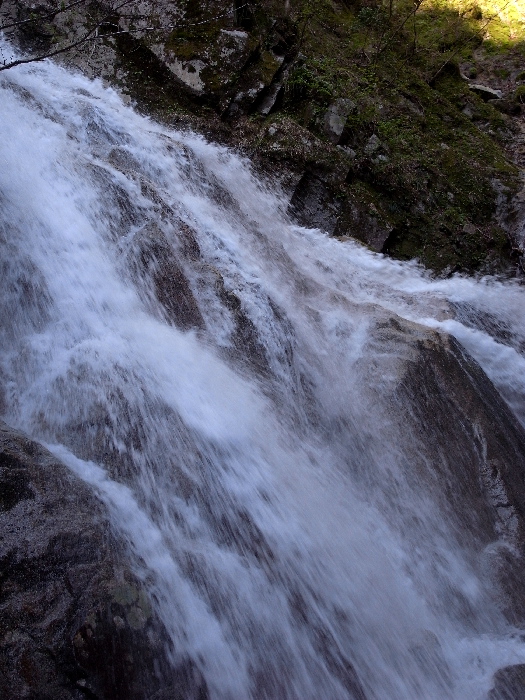 f0103126_22353968.jpg