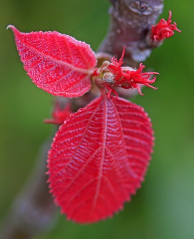 c0104227_2043664.jpg