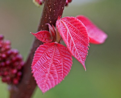 c0104227_2045056.jpg