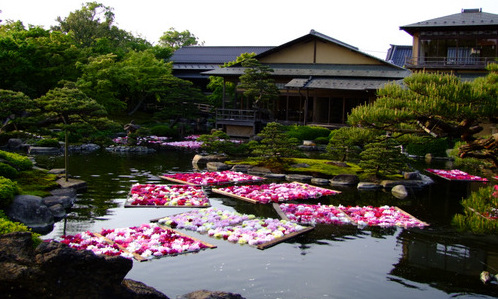 a0000029_8364449.jpg