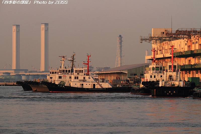 a0195032_2241462.jpg