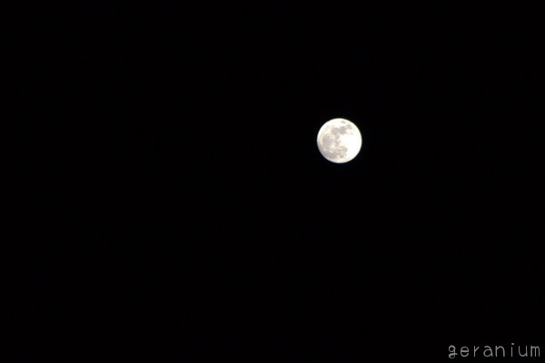 c0133533_2264587.jpg