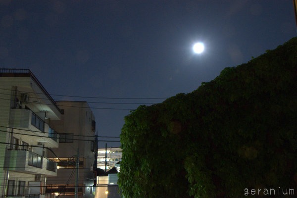 c0133533_226585.jpg