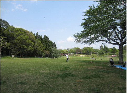f0002833_1758487.jpg