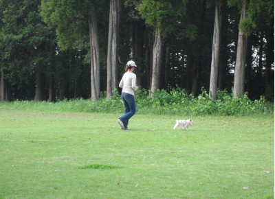 f0002833_183940.jpg