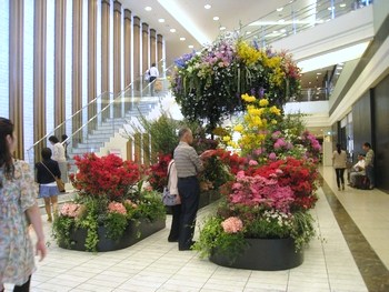 c0134734_8435016.jpg