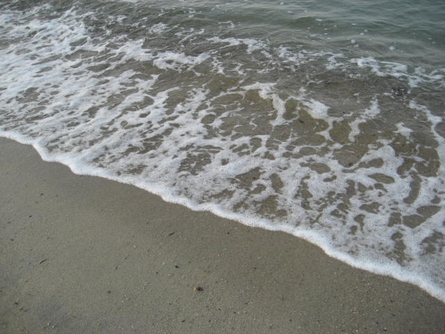 b0166435_23295312.jpg