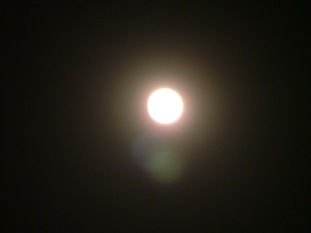 a0155838_21152459.jpg
