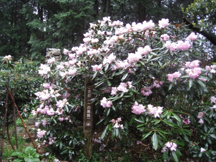 c0077338_673420.jpg