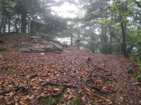 c0077338_681012.jpg