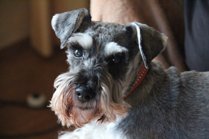 c0153740_1263982.jpg