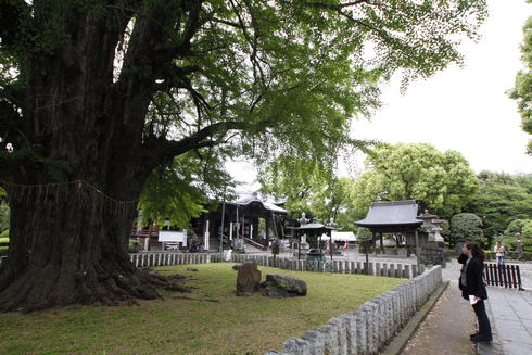 a0014141_1133646.jpg