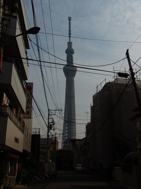 a0087341_005551.jpg