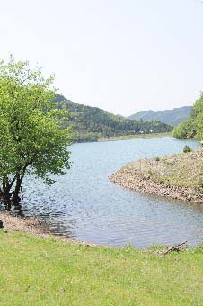 b0187042_1312388.jpg