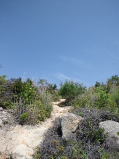 e0159246_20562373.jpg