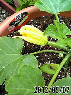 b0200747_2061223.jpg