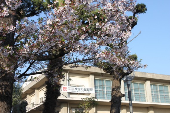 b0249247_2034846.jpg