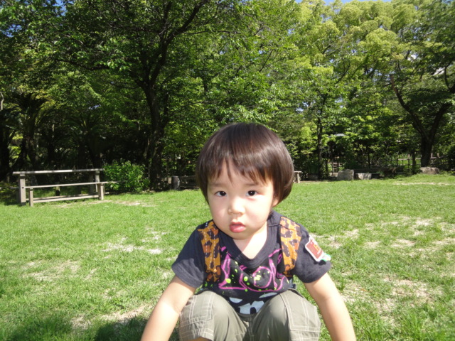 f0103851_1751294.jpg