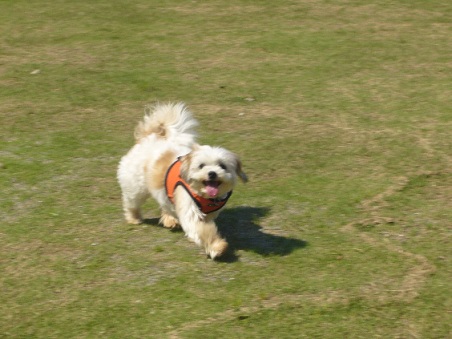f0087256_23142240.jpg