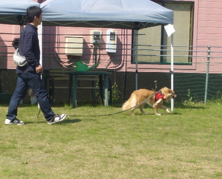 f0087256_23174024.jpg