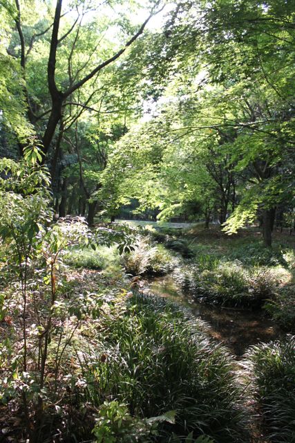 c0153259_2101915.jpg