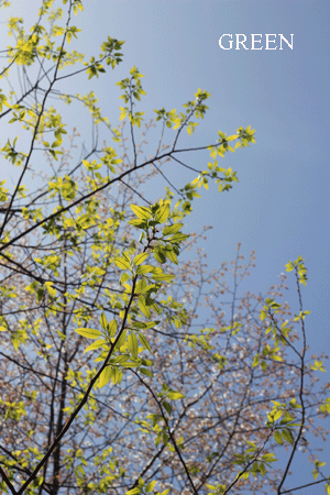 e0145259_4241377.gif