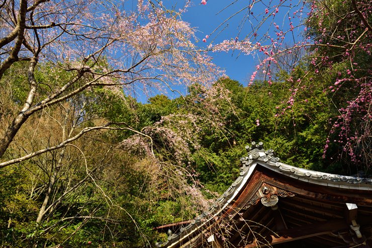 f0222161_20193165.jpg