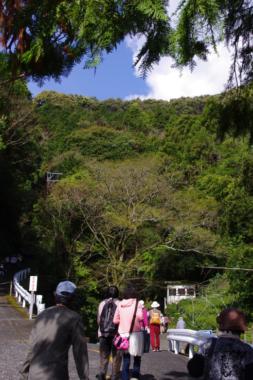 d0093462_7491973.jpg