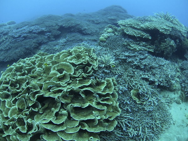 b0062363_8434837.jpg