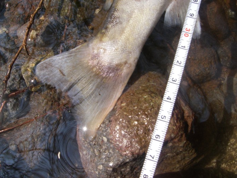 c0214764_21402953.jpg