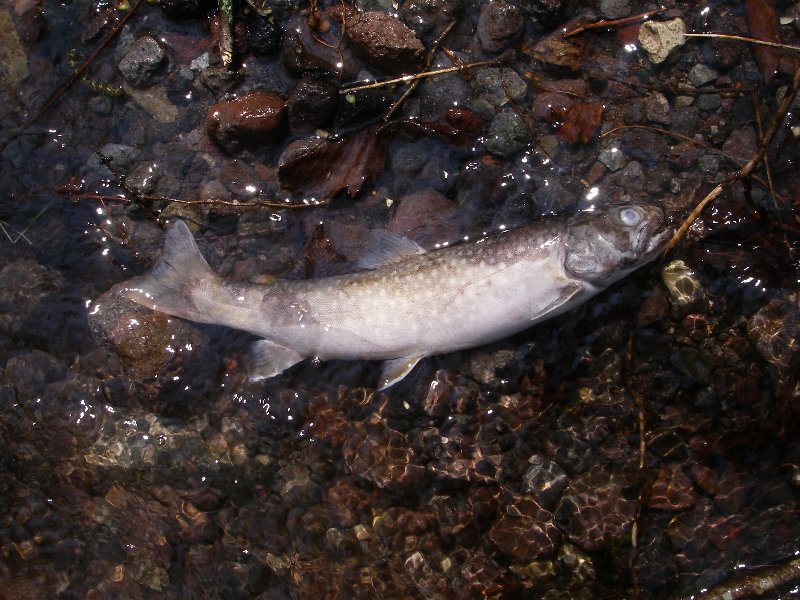 c0214764_2141491.jpg