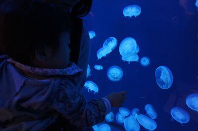 c0139765_14355799.jpg