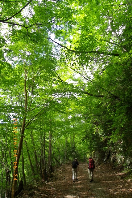 f0016066_641423.jpg