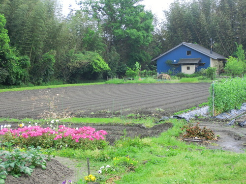c0171468_046344.jpg