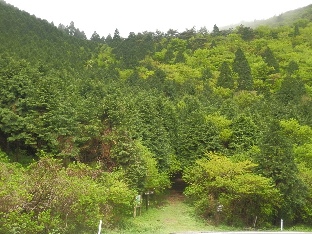 c0042869_6344073.jpg