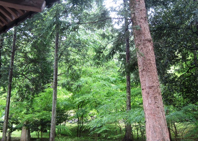 f0088569_11293989.jpg