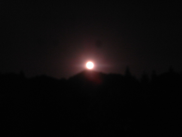 a0146070_6562180.jpg