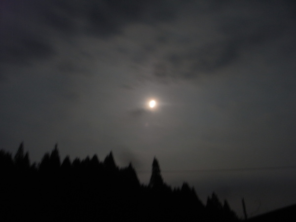 a0146070_721340.jpg
