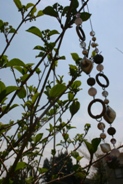 c0057781_11265665.jpg