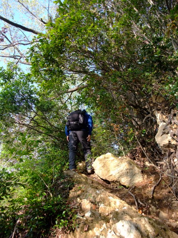 a0043982_1621232.jpg