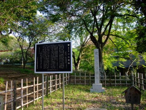 a0043982_16221168.jpg