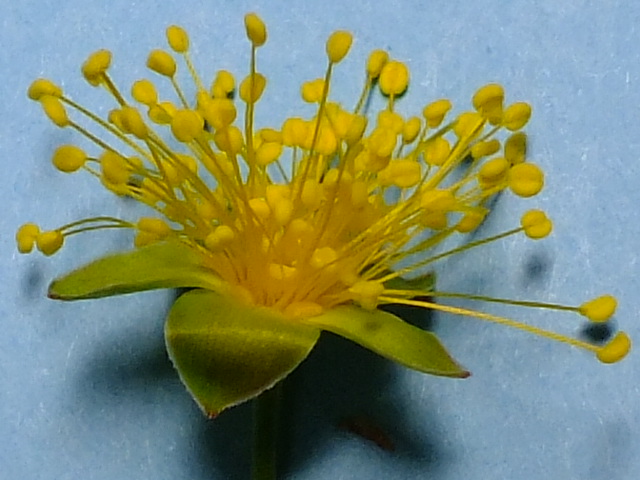 e0145782_1843433.jpg