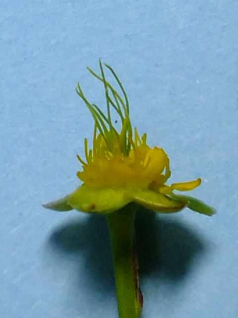 e0145782_189222.jpg
