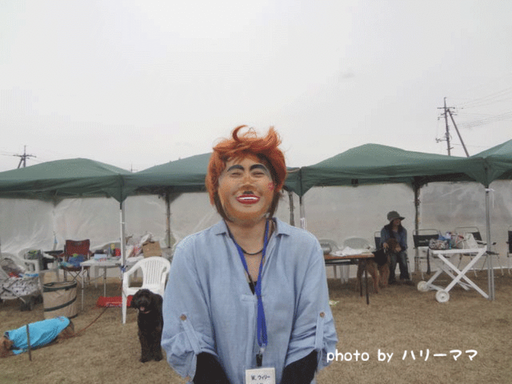 a0216583_1154223.gif