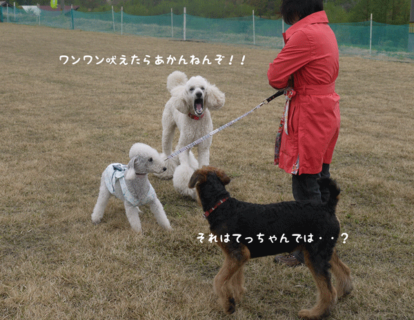 a0216583_12104955.gif
