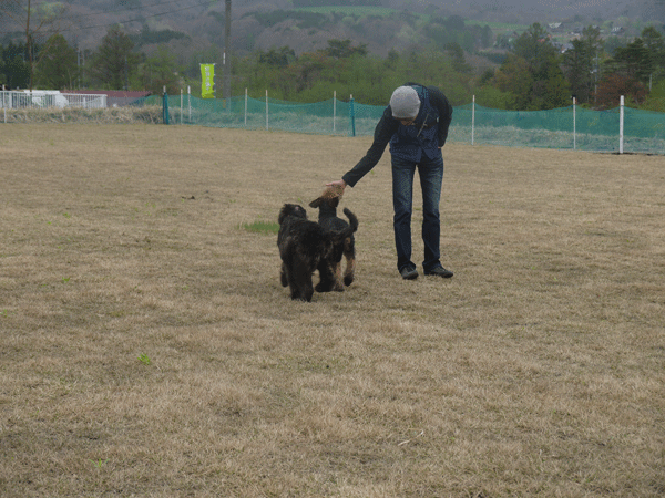a0216583_12105461.gif
