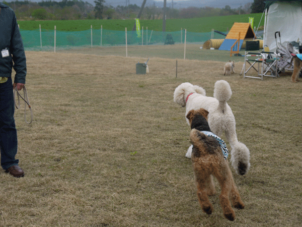 a0216583_1211498.gif