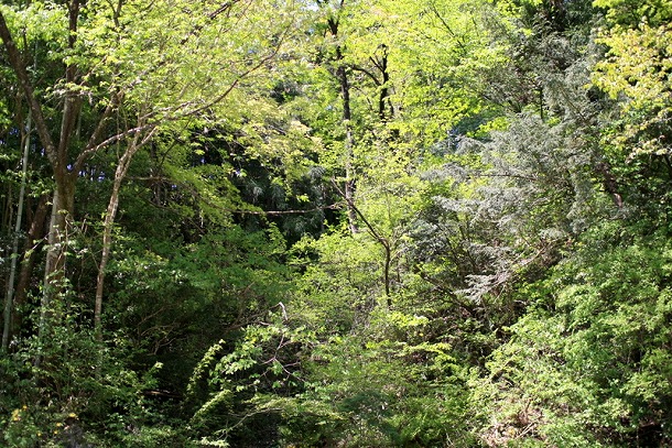 f0238184_13112173.jpg