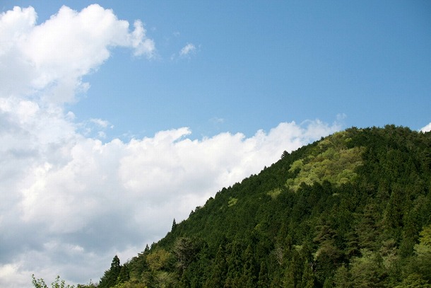 f0238184_13562345.jpg