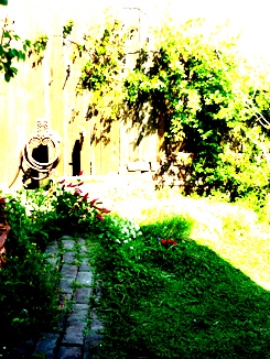 a0152785_23122850.jpg